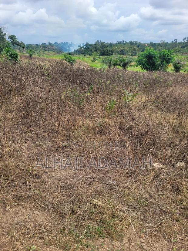 Lands for Sale at Trede Patasie New Site · Photo 6