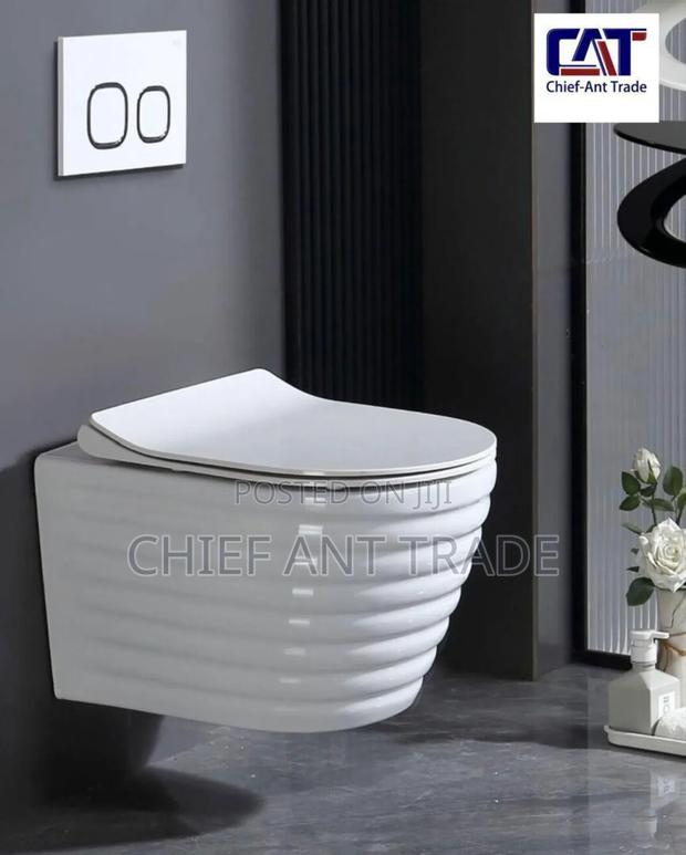 Concealed Toilet Seat Wc. Wall Wc · Photo 1