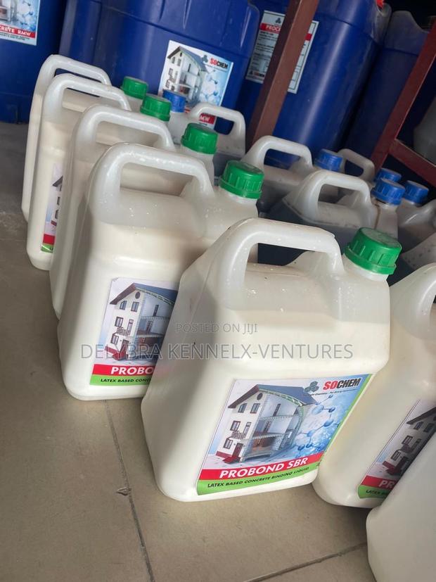 Probond SBR (Solution for Salt in Walls) · Photo 2