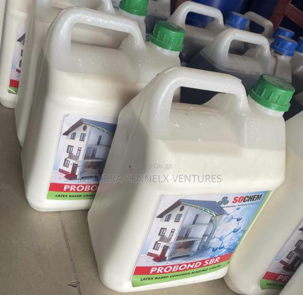 Probond SBR (Solution for Salt in Walls) · Photo 1