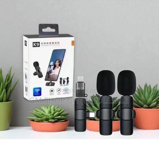 Wireless Microphone 2 in 1 Microphone (25446)