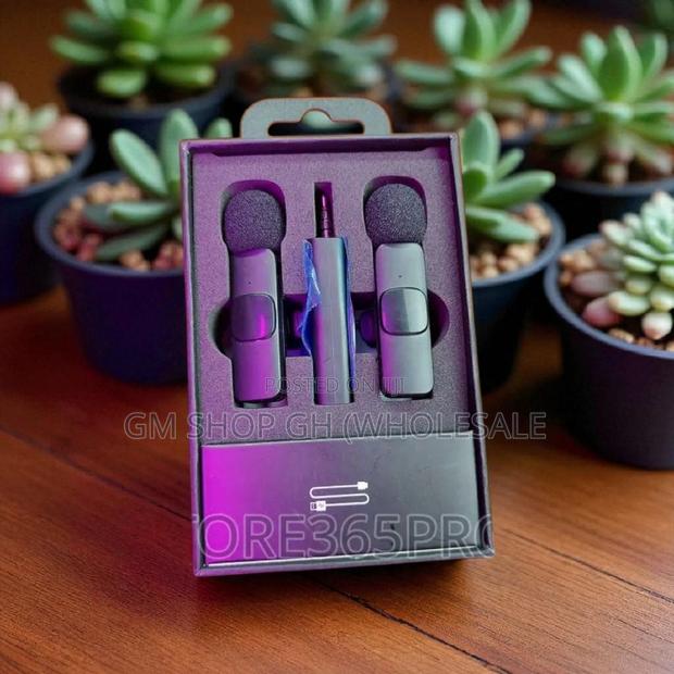 Wireless Microphone 2 in 1 Microphone (25446) · Photo 2