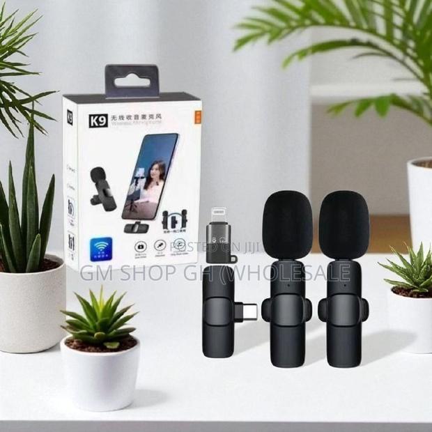 Long Battery Life 2 in 1 Wireless Microphone (35544)