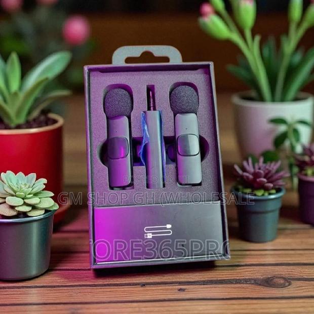 Long Battery Life 2 in 1 Wireless Microphone (35544) · Photo 2