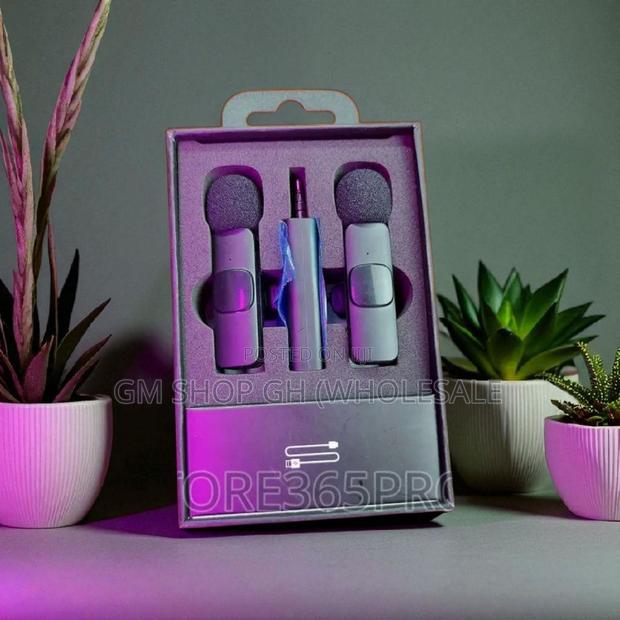 Portable/Mini/Wireless Microphone (435566)