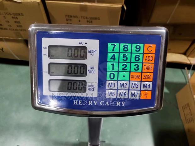 Platform Scale · Photo 3