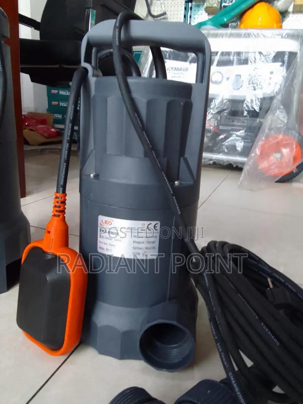 Leo 1hp Sewage Submersible Pump · Photo 2