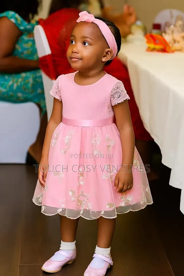 Pink Floral Embroidered Lace Baby Dress (2-3 Years) · Photo 1