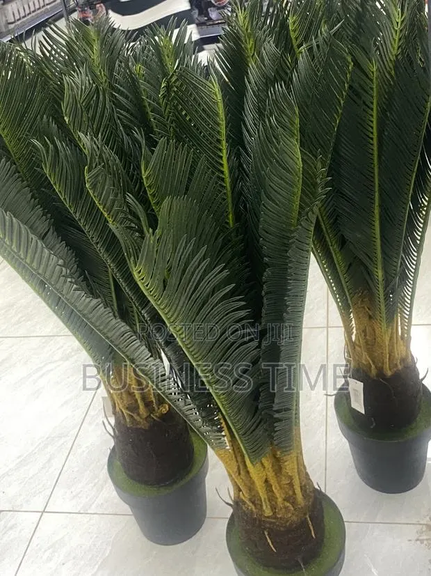 Gardening Services · Photo 2
