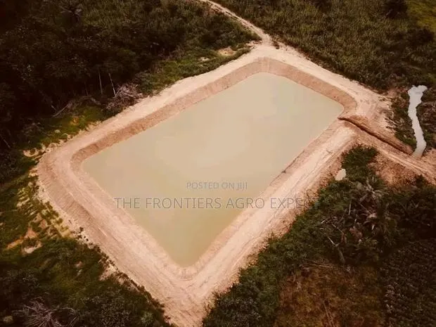Dam, Water Pan, Reservoir and Earthen Pond · Photo 1
