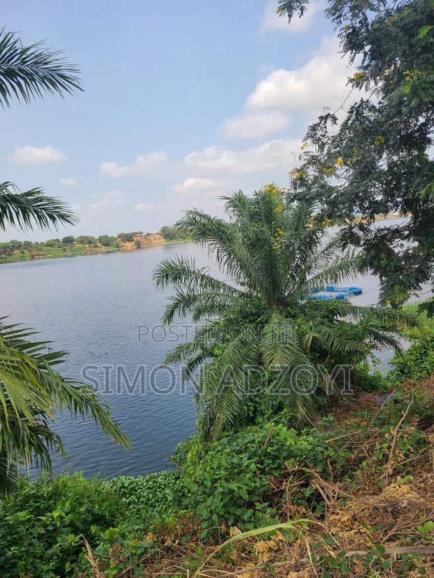 10,000 River Front Farm Land for Rent. · Photo 1
