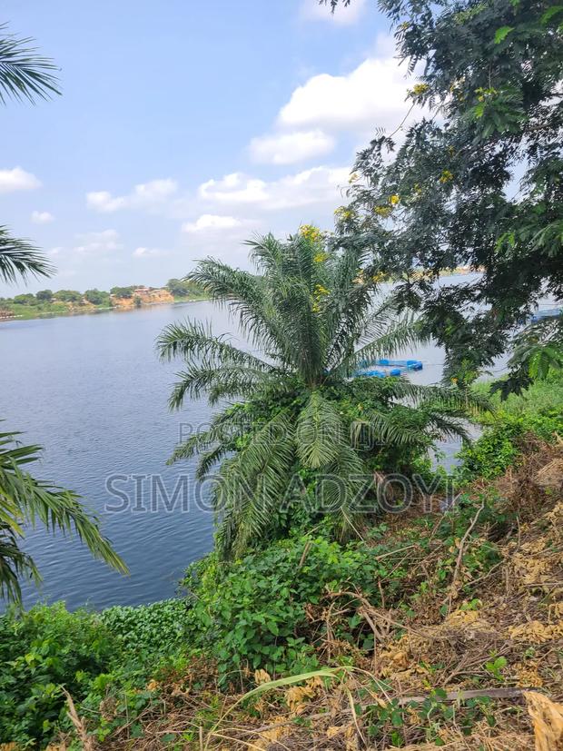 10,000 River Front Farm Land for Rent. · Photo 2