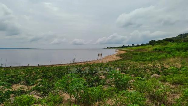 10,000 River Front Farm Land for Rent. · Photo 3