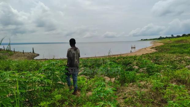 10,000 River Front Farm Land for Rent. · Photo 4