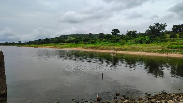 10,000 River Front Farm Land for Rent. · Photo 5