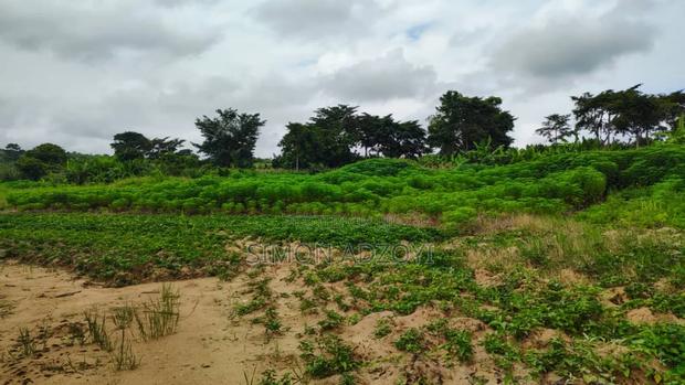 10,000 River Front Farm Land for Rent. · Photo 6