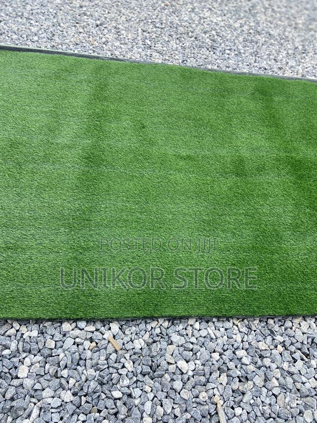 Landscaping Carpet Grass · Photo 2