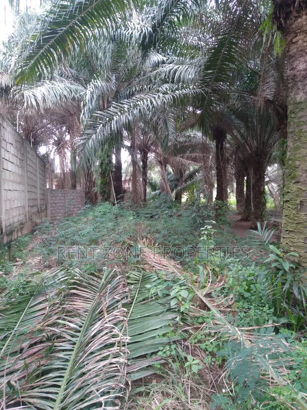 Title Land for Sale · Photo 1