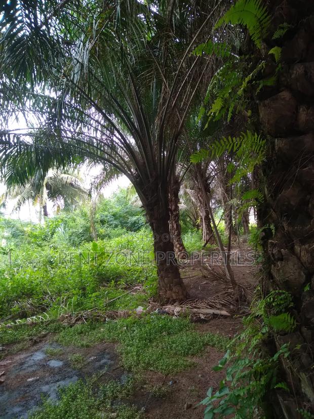 Title Land for Sale · Photo 3