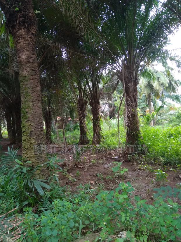 Title Land for Sale · Photo 4