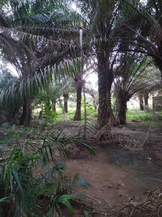 Title Land for Sale · Photo 5