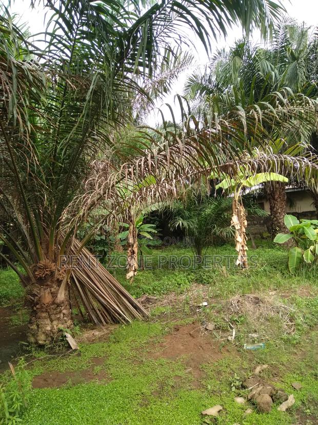 Title Land for Sale · Photo 7