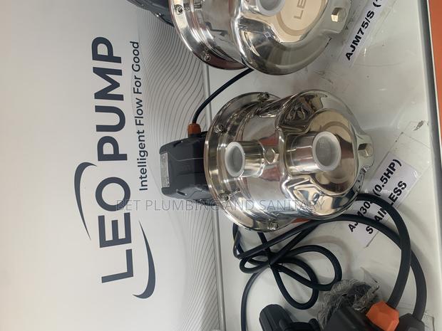 Accurate Leo 0.5hp Water Pump_stainless · Photo 2