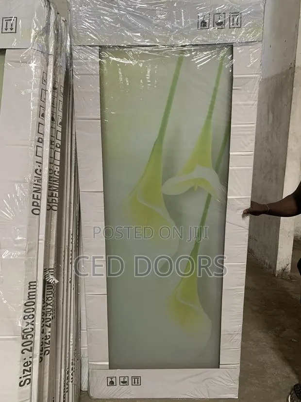 Bathroom and Toilet Doors · Photo 1