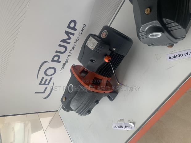 Complete Leo 1hp Water Pump · Photo 2