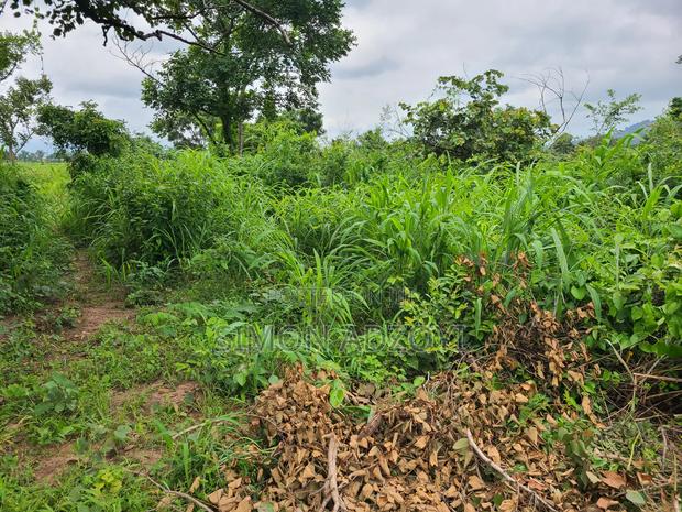 5000 Acres Farm Land For Sale Or Lease · Photo 3