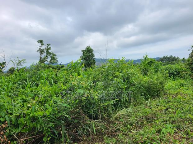 5000 Acres Farm Land For Sale Or Lease · Photo 4