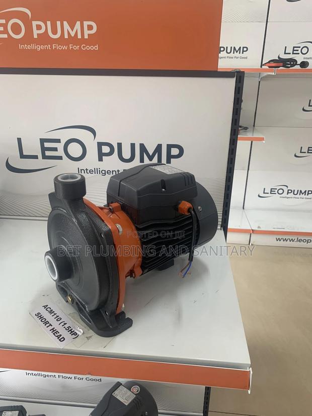 Short Head Leo 1.5hp Water Pump · Photo 1