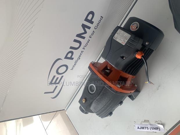 Accurate Leo 1hp Water Pump · Photo 1