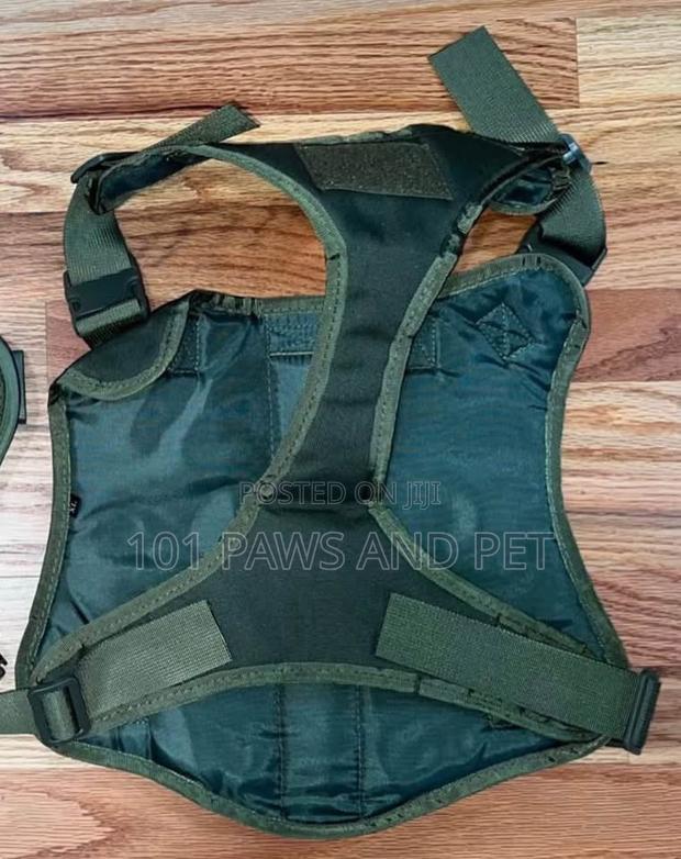 No Pull Tactical Harness · Photo 1