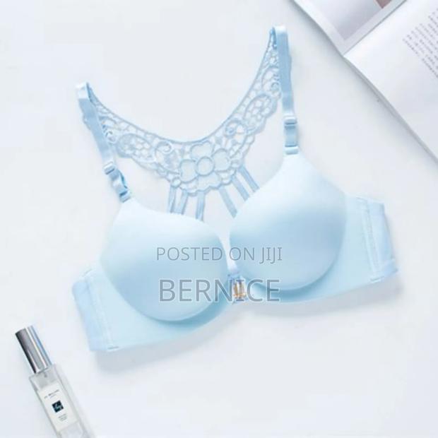 Elegant Lace-Back Bra · Photo 1