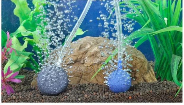 Solar Aquarium Oxygen Air Pump. Electric And Solar Charging · Photo 5