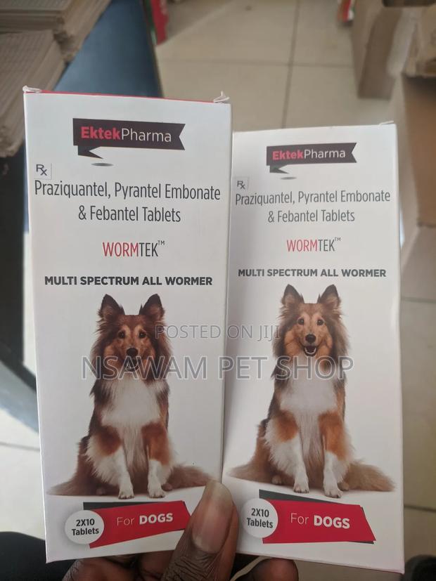 Wormtek Tablet · Photo 1