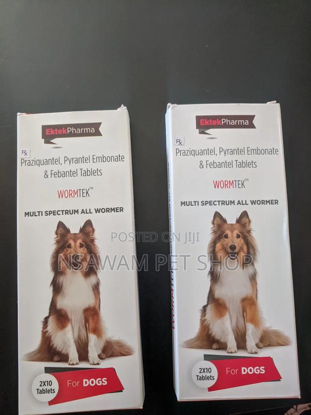Wormtek Tablet · Photo 2