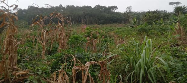 16 Acres of Registered Land for Sale at Aburi · Photo 4