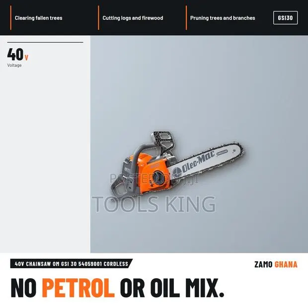 40V Chainsaw Om Gsi 30 Cordless - GSI30 · Photo 1