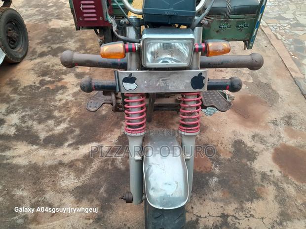 Luojia Cargo Tricycle 2021 Green · Photo 2