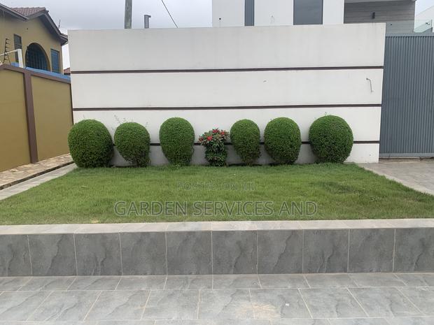 Call for Your Garden and Landscaping Project · Photo 5