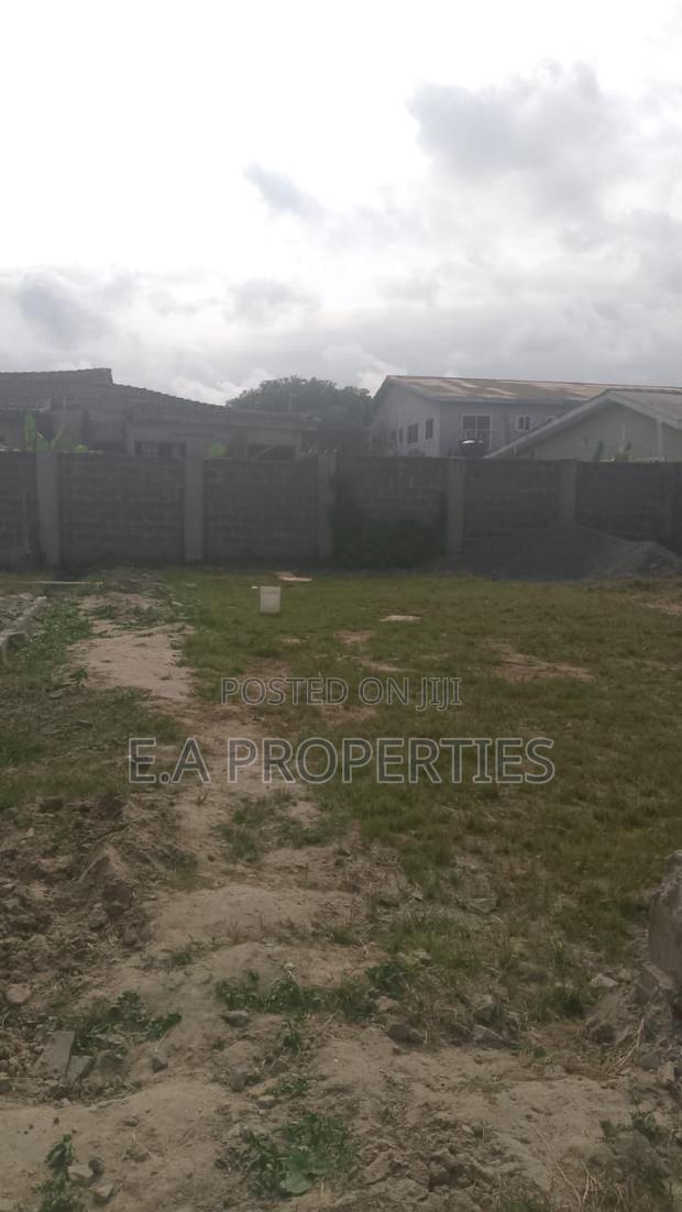 Spintex Magnet Gate · Photo 4