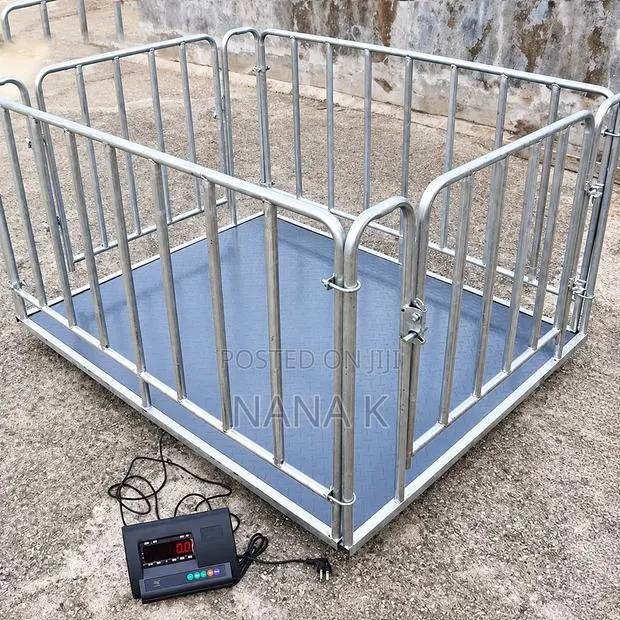 Platform Weighing Scale With Fence