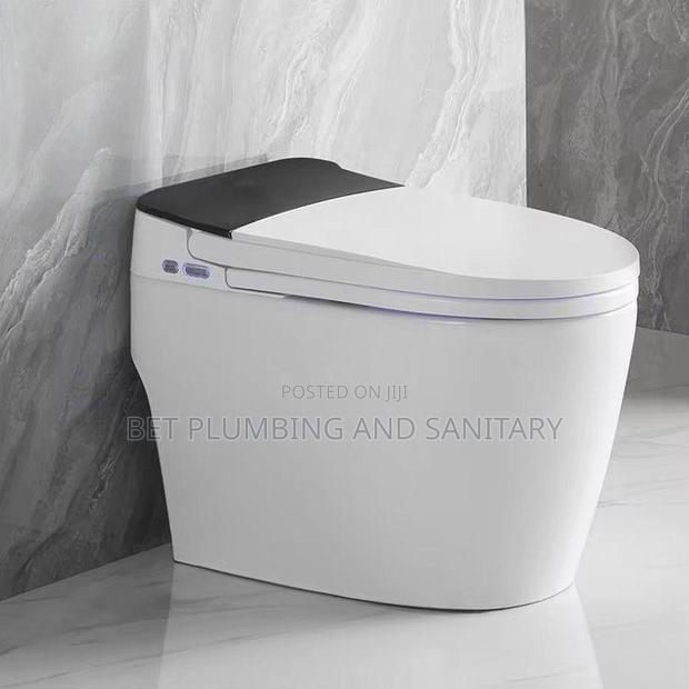 Imported Smart Water Closet_electric Wc _Sensor Wc_remote Control Wc · Photo 1