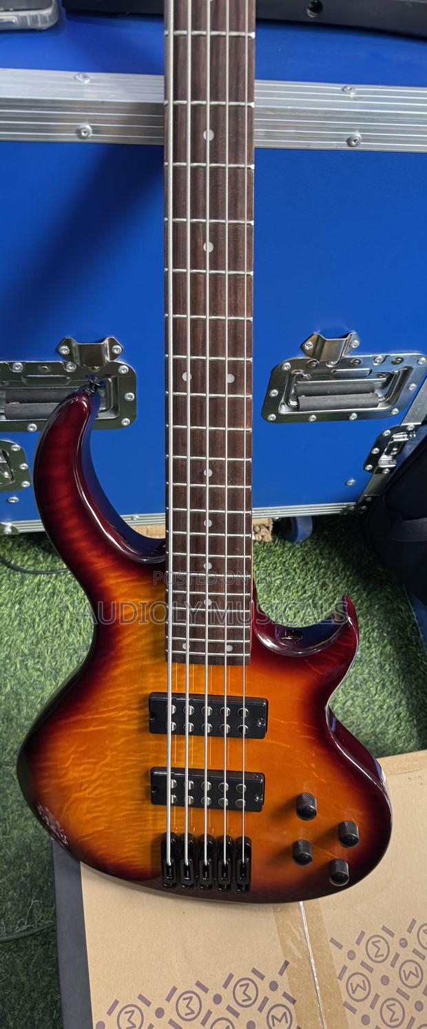 Givson Active Bass Guitar · Photo 3