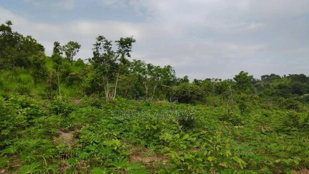 1000 Acres Close to Volta Lake · Photo 2