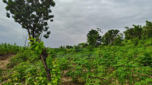1000 Acres Close to Volta Lake · Photo 3