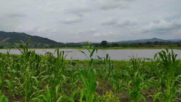 1000 Acres Close to Volta Lake · Photo 5