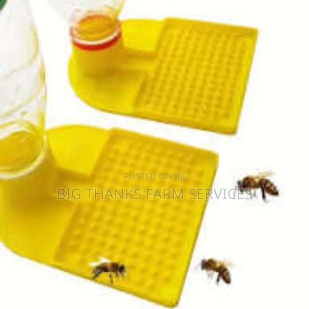 Bee Drinkers · Photo 1